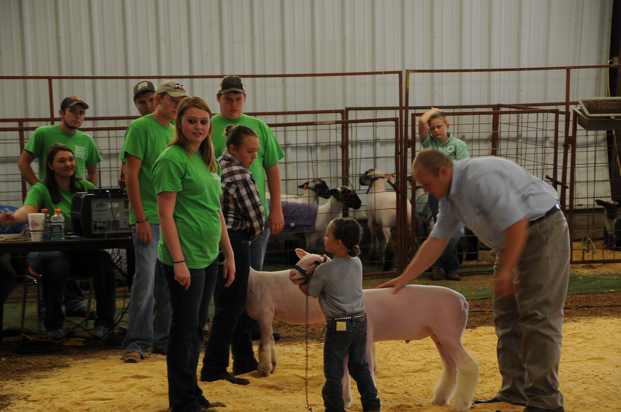 NOC Aggies working the Sheep Show NOC Aggies working the Sheep Show